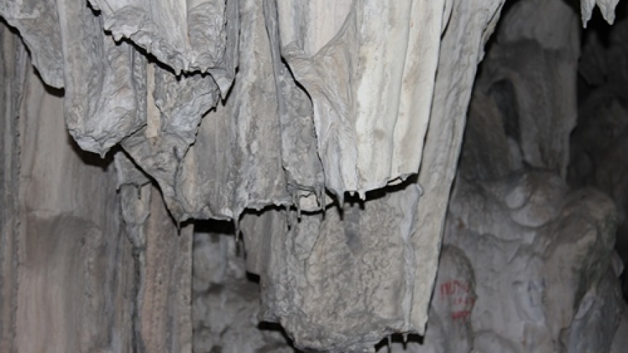 Ancient limestone caves in Ha Long Bay suffer damage