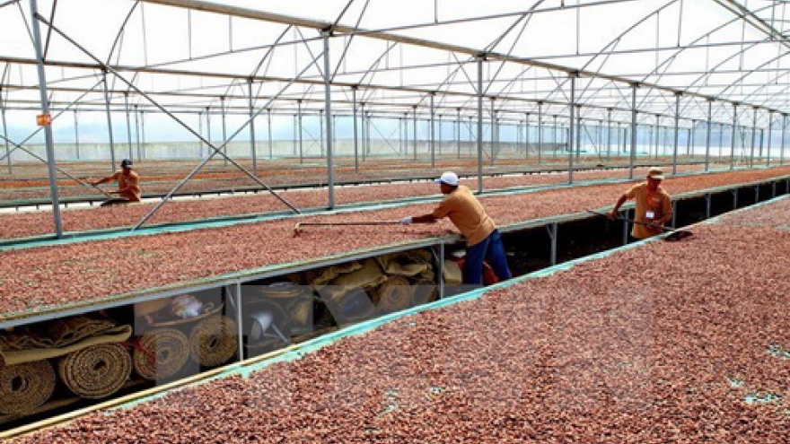 Dong Nai seeks to navigate key trade markets