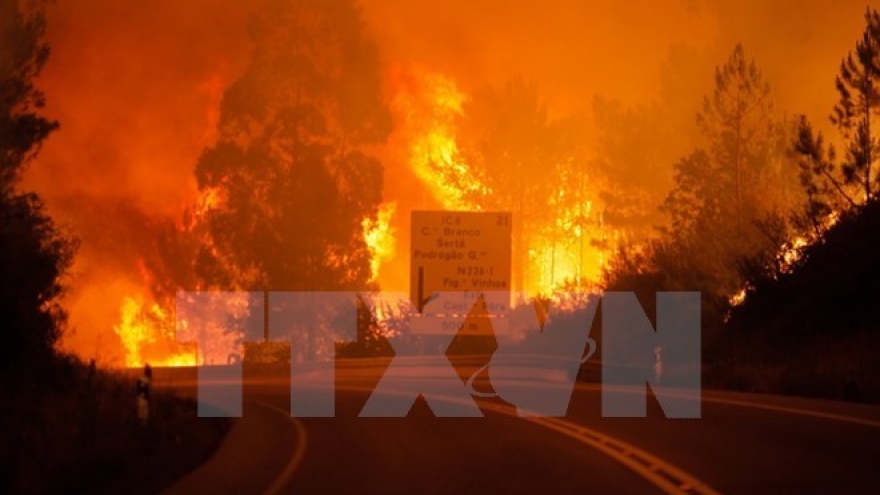 Condolences sent to Portugal over forest fires