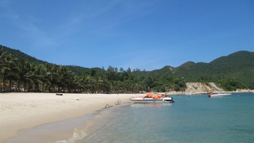 Cham Island tries to rescue green turtles