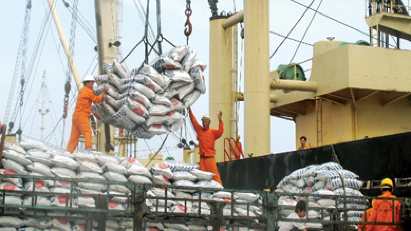 Prospects for the African-Middle Eastern markets