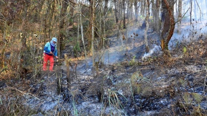 Fires ravage over 2,400 ha of forest in 2016