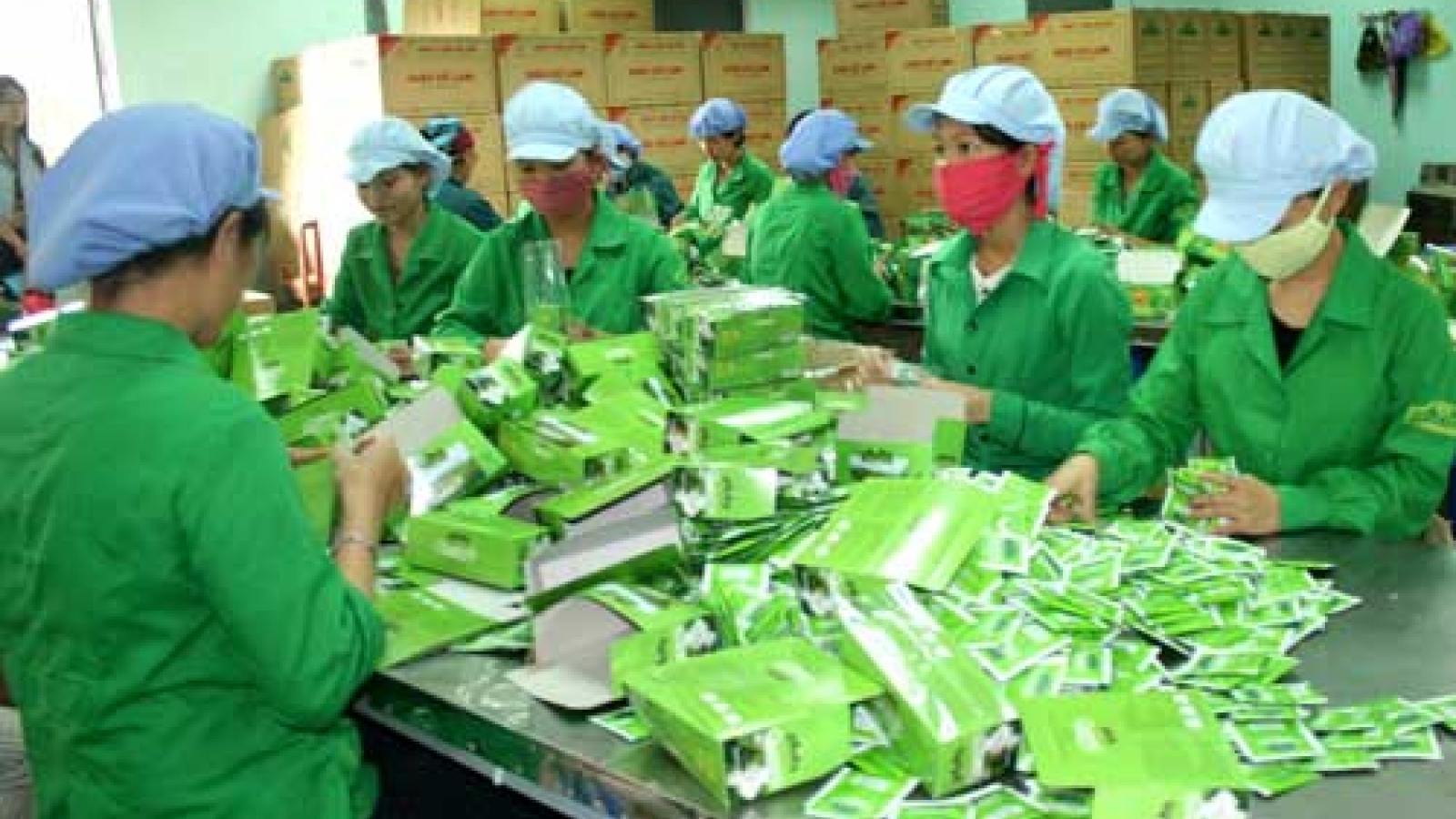 Tea exports suffer decline in volume and value