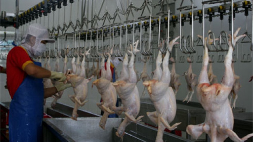 Unlocking the potential of meat and poultry exports
