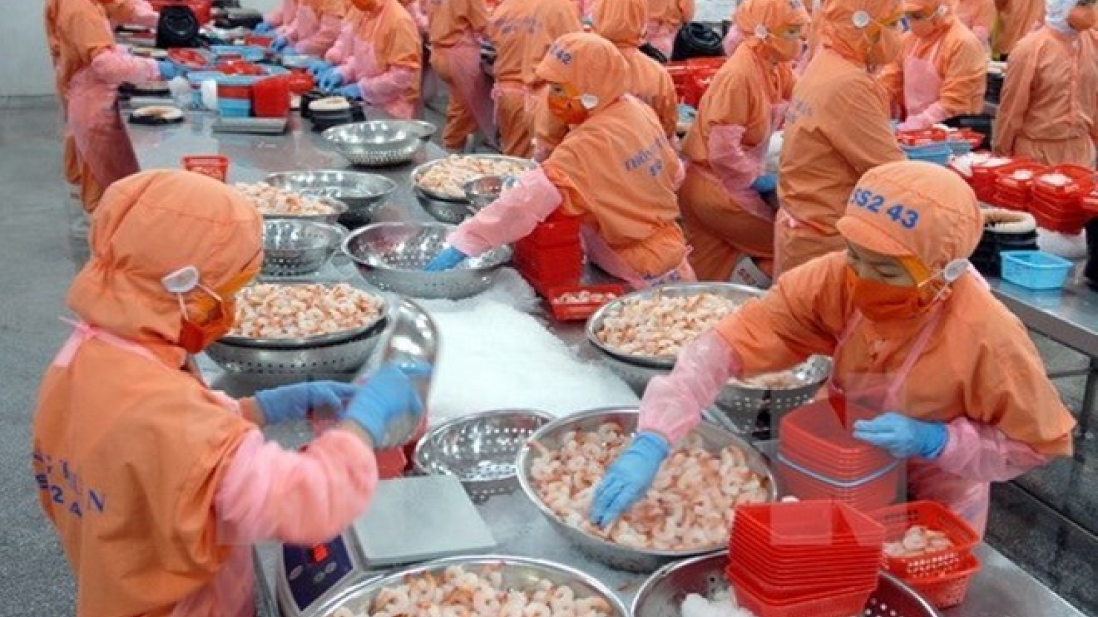 Vietnam becomes largest shrimp provider in RoK