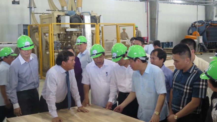 Major wood processing factory operational in Nghe An province