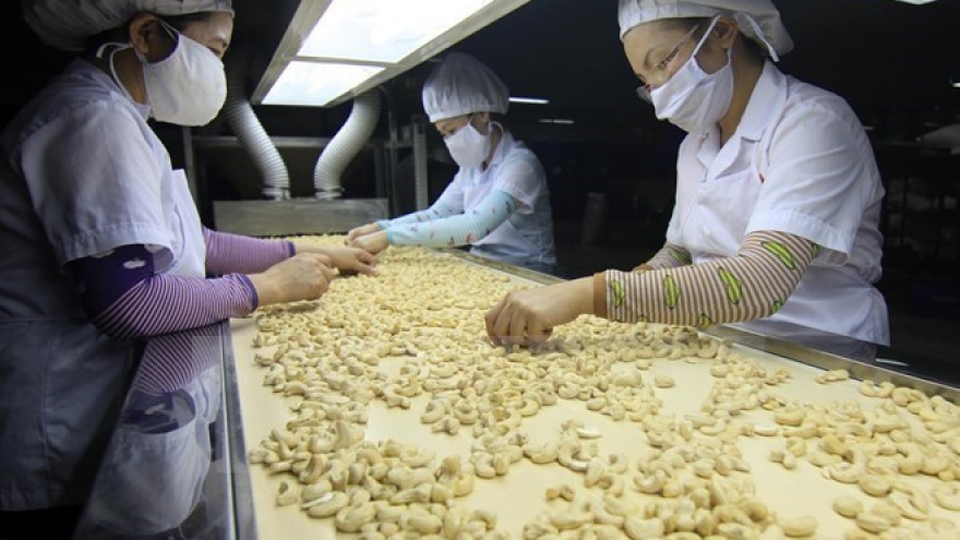 Vietnam expects to earn US$3.3 billion from cashew exports