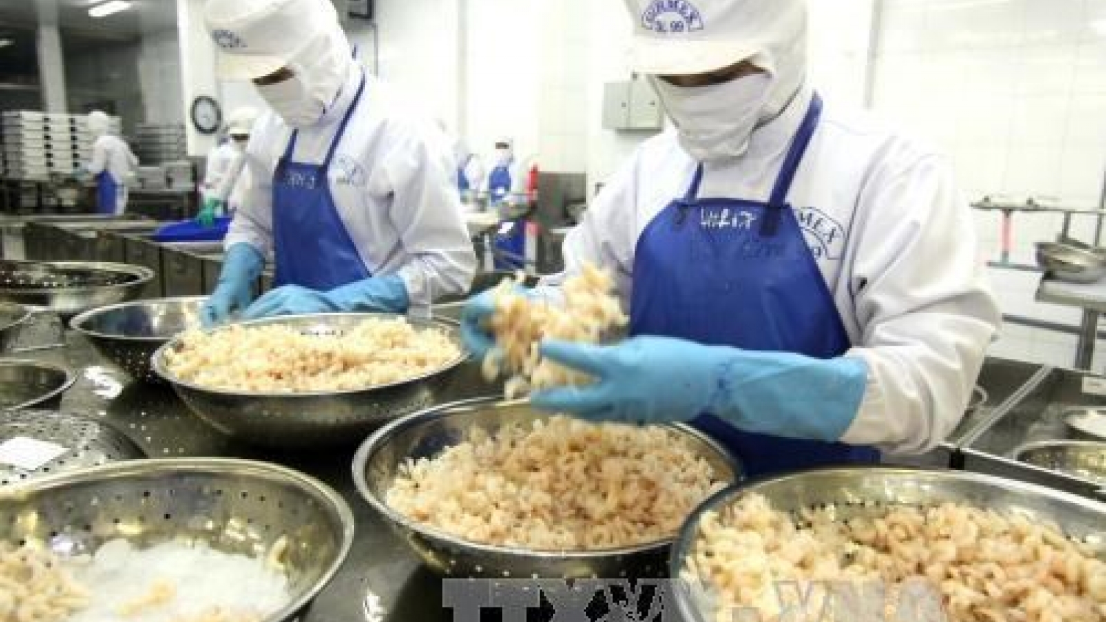  Mekong Delta businesses study impacts of AEC, TPP