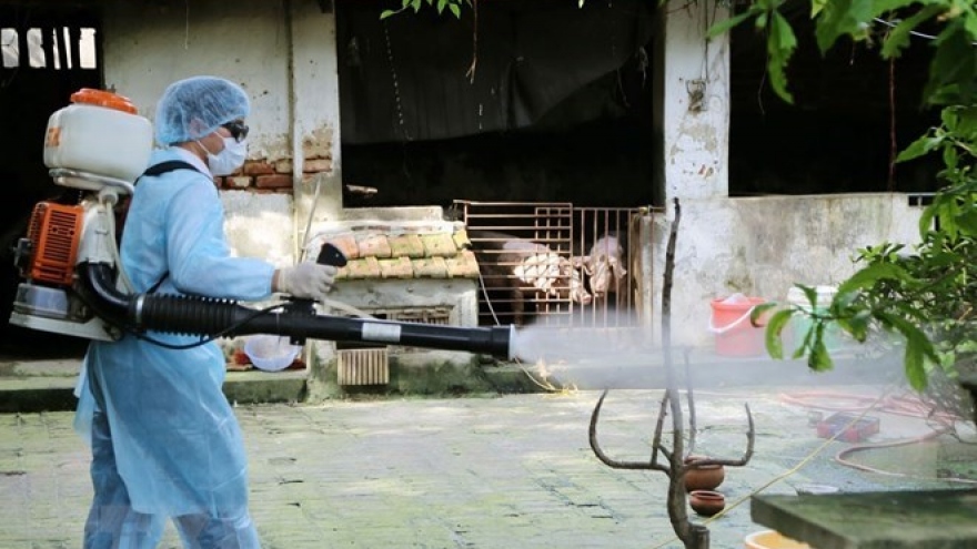 UK helps Vietnam forecast dengue fever epidemic