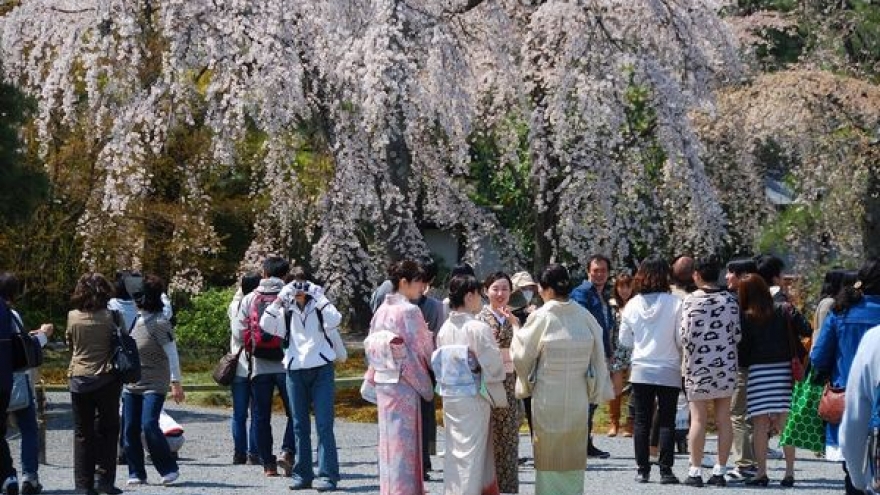 Japan considers visa exemption for Vietnamese visitors