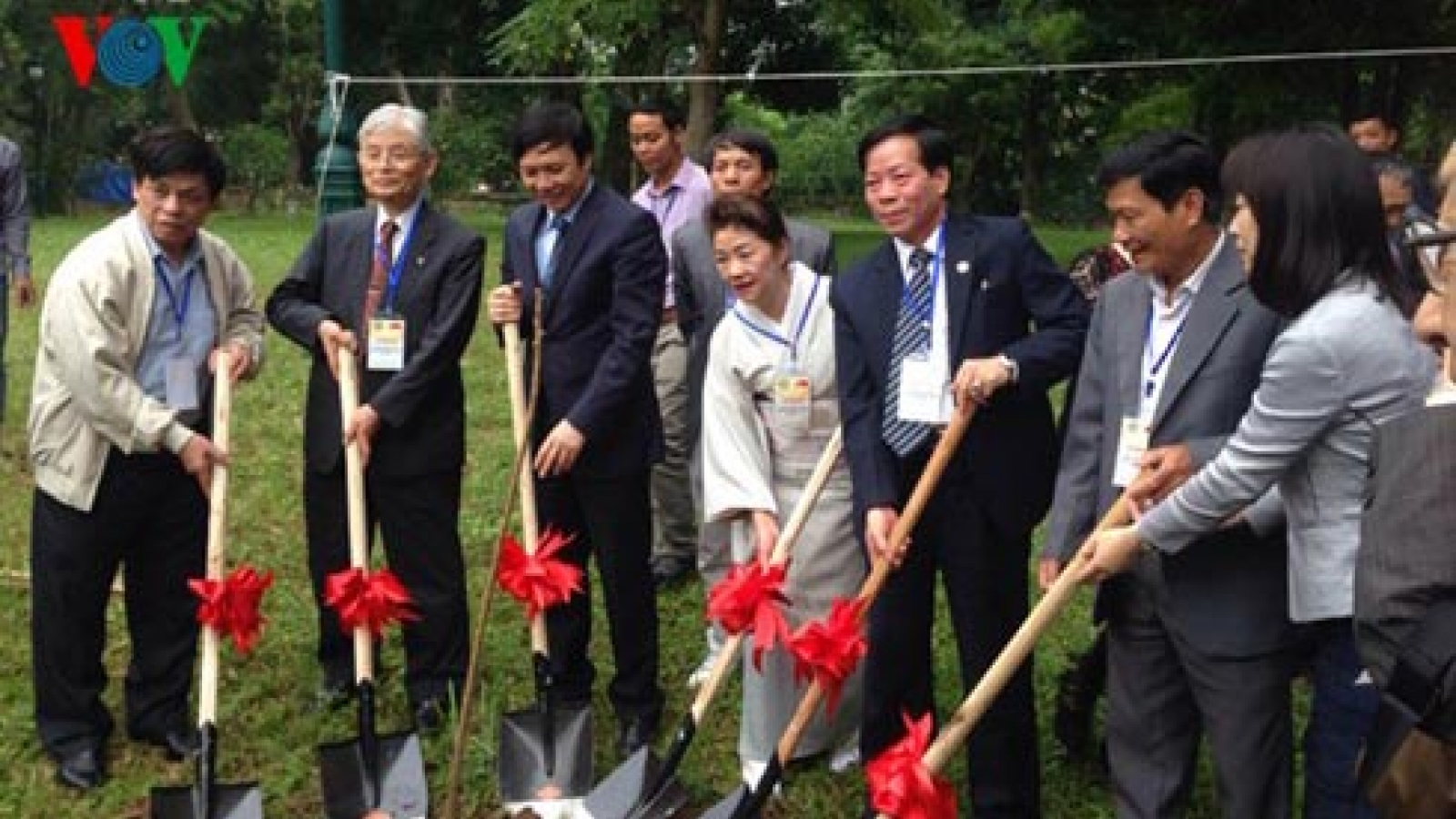 Japanese cherry trees to bloom in Hanoi
