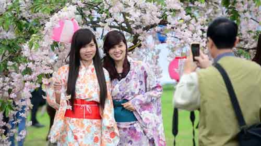 Dong Nai Cherry Blossom Festival starts Apr 23