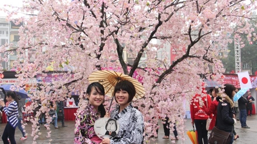 Hanoi set to take bloom with Japanese cherry trees