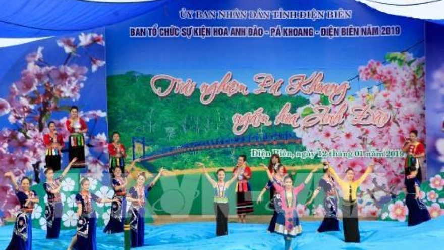 Dien Bien: Pa Khoang hosts second cherry blossom festival