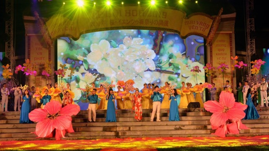 Cherry blossom festival opens in Quang Ninh