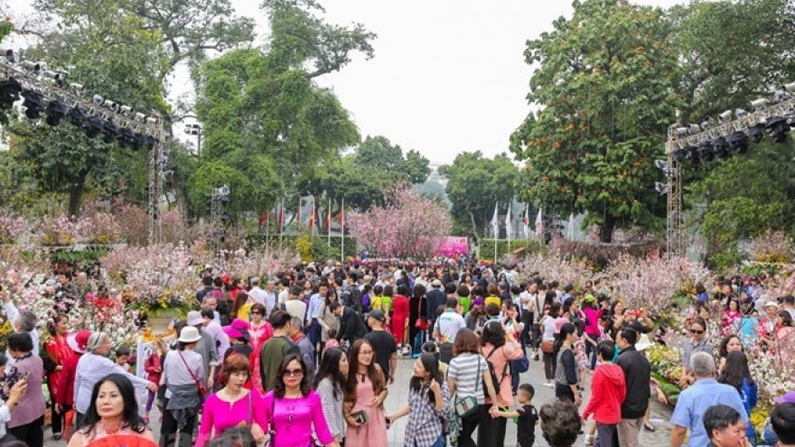 
        Goodwill ambassador for Japanese cherry blossom to be chosen
                              