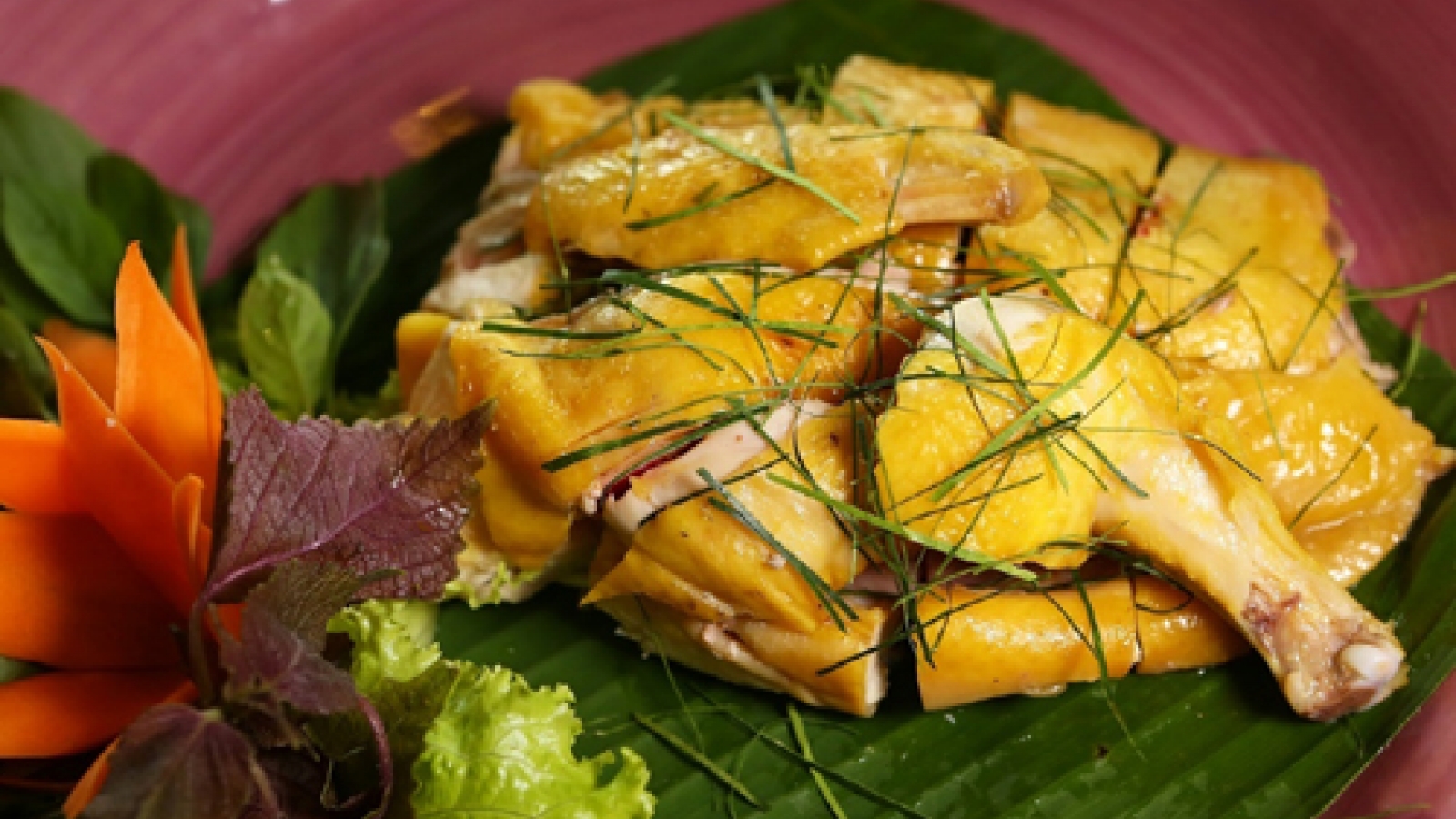 Hill Chicken in Tien Yen