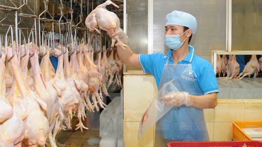 Vietnamese chicken breast to be exported to Japan