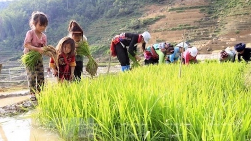 Ho Chi Minh City seminar seeks to reduce child labour