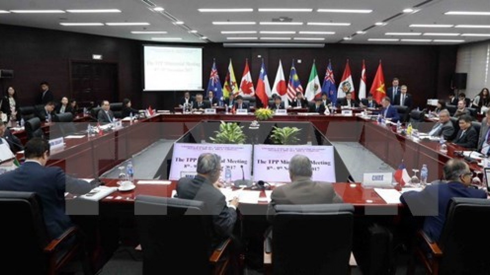APEC 2017: China says TPP deal will not impact on RCEP