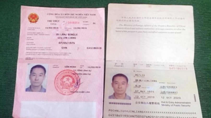 Chinese tourists caught illegally sourcing coconuts in southern Vietnam