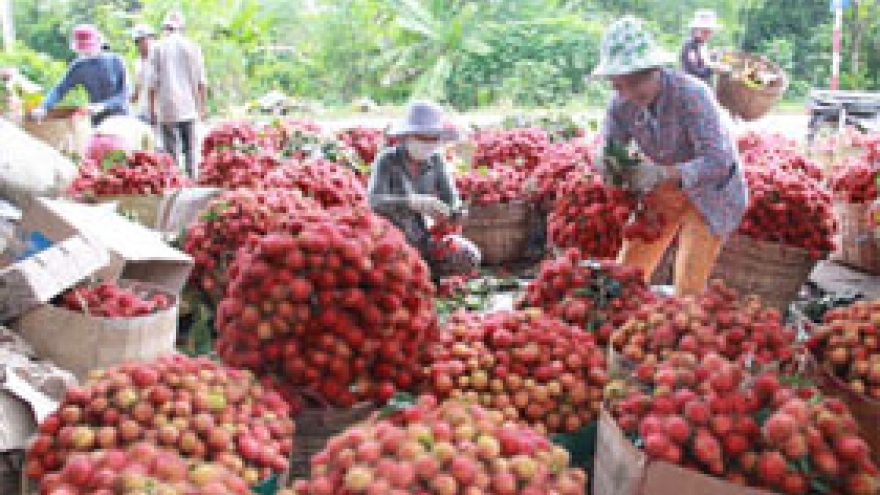 Dong Nai exports durians, rambutans to Japan  