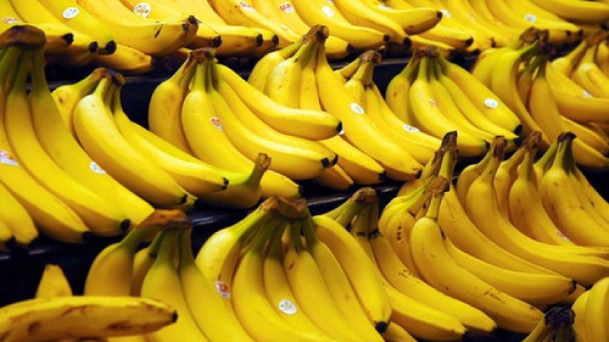 Japan now open to Vietnam banana growers