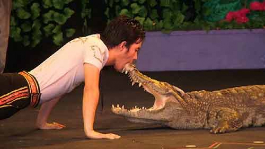 
        International circus to open in HCM City
                              