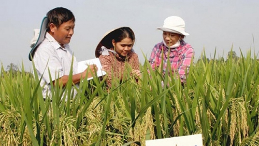 Developing resources of rice gene adapting to climate change