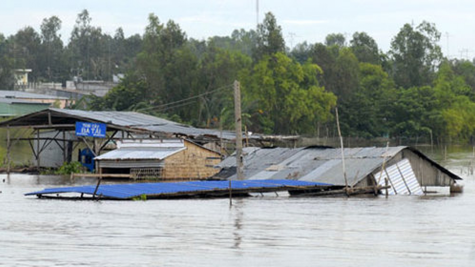 Climate Summit 2014: working together for the future