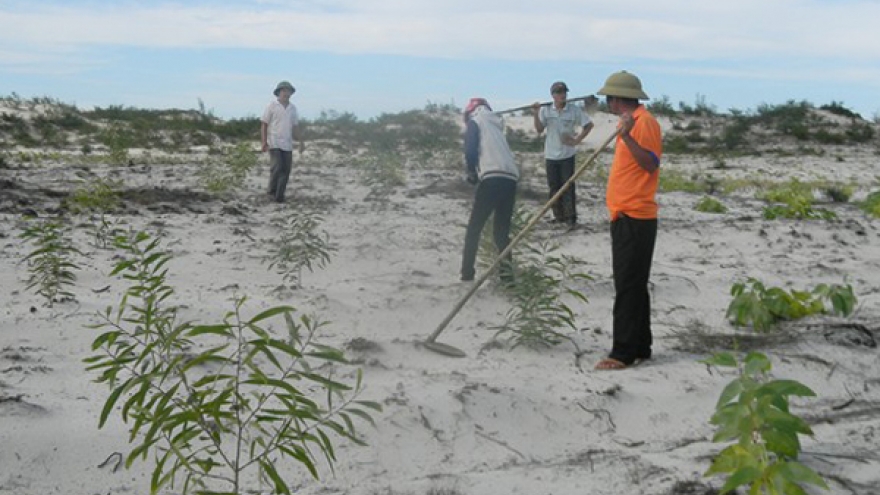 Making sense of climate change risks