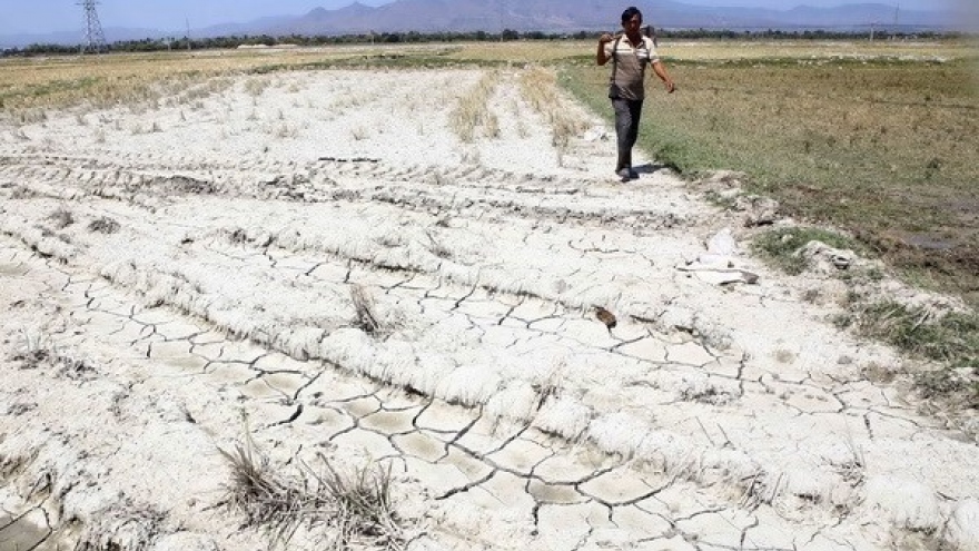 Seminar seeks solutions to climate change in Mekong Delta
