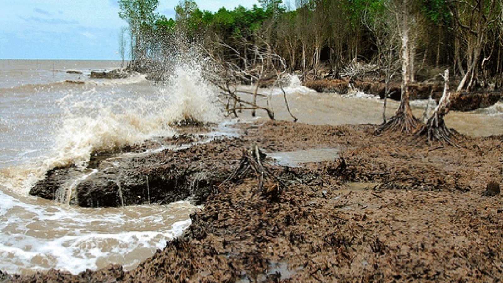 Report: Climate change threatens economic growth of Vietnam