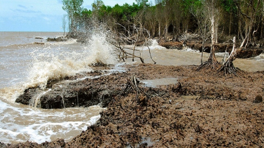 Report: Climate change threatens economic growth of Vietnam