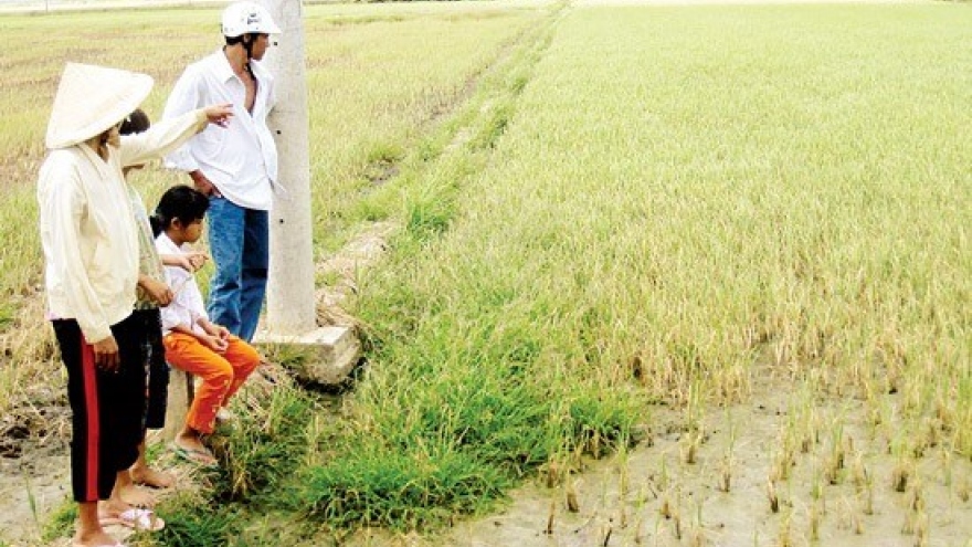 Climate change makes water scarce in dry season in HCM City