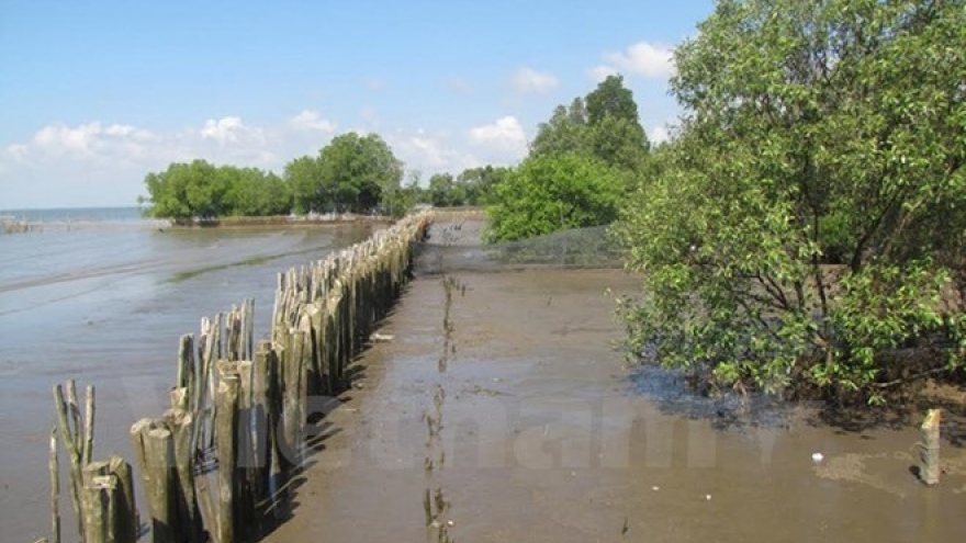 
        Project helps Ben Tre women adapt to climate change
                              