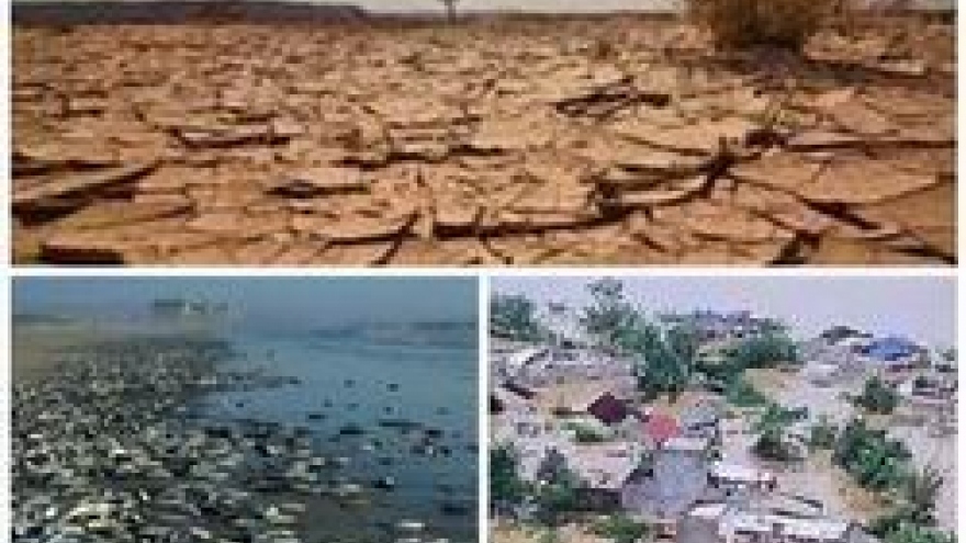 Project supports green growth, climate change response
