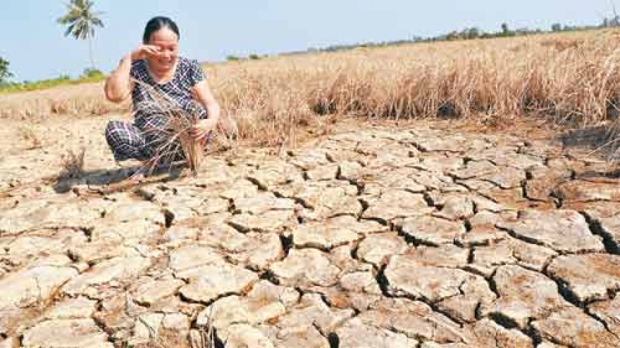 Climate change adaptation in Mekong Delta