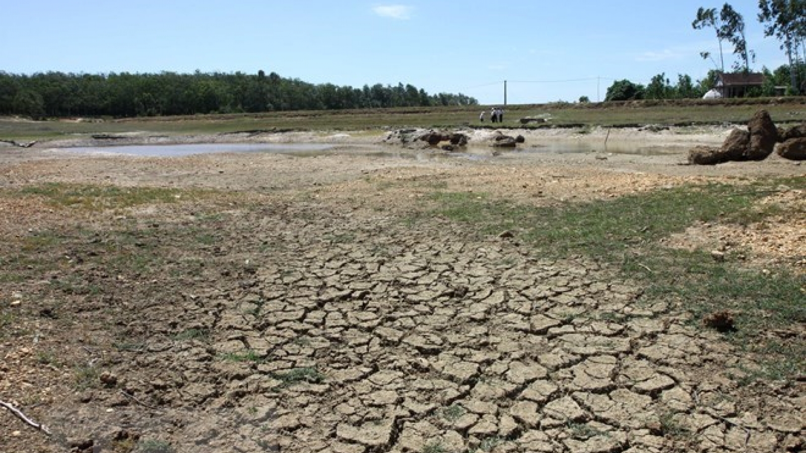 Conference reviews climate change response support programme