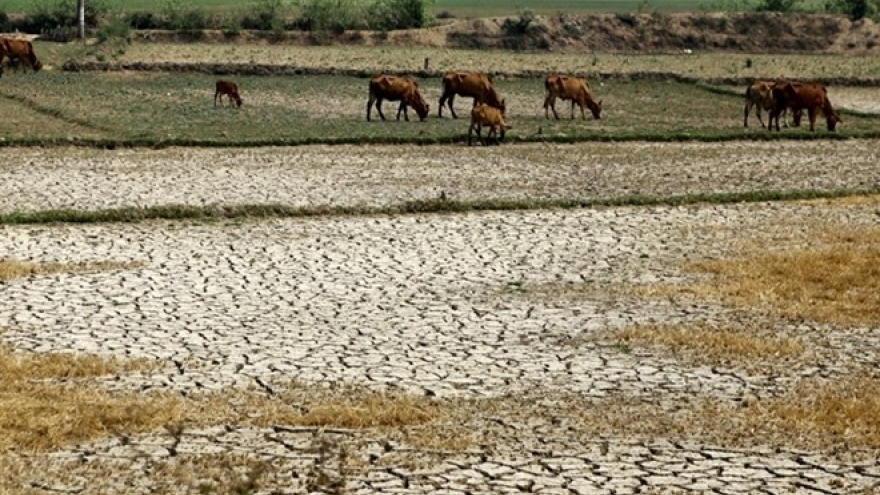 New index for Vietnam climate resilience