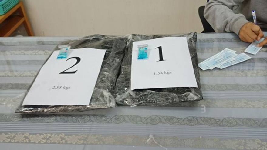 Malaysian woman arrested for illegal cocaine transportation