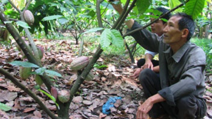 Local business coordinates with Japan to produce chocolate