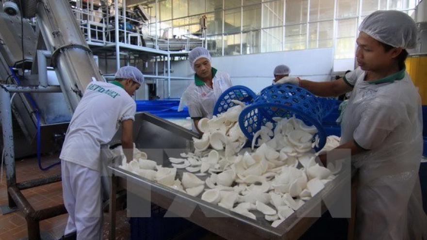 Largest coconut processing factory inaugurated in Ben Tre
