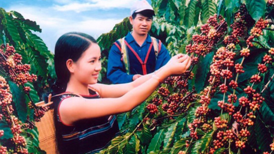 Coffee industry to boost quality, value