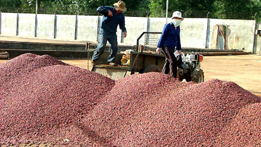 Coffee exports hit US$2.21 billion in 9 months