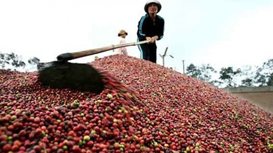 Coffee exports up in volume, value in six months 