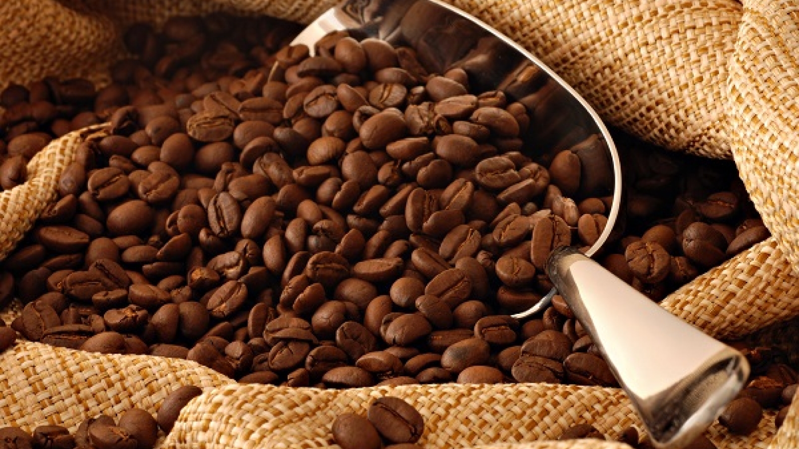 Coffee industry in Vietnam turns bitter