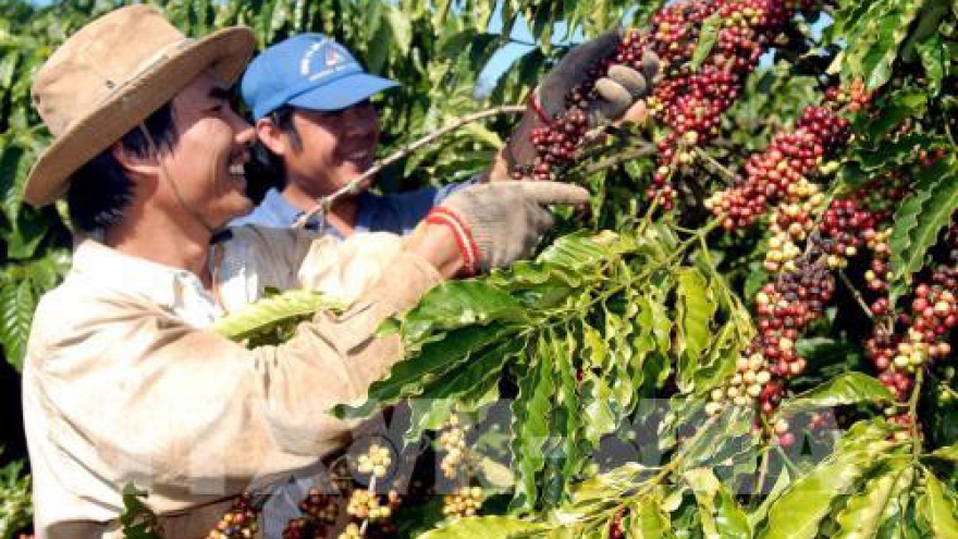 
        Vietnam exports to Algeria surge 17% in nine months
                              