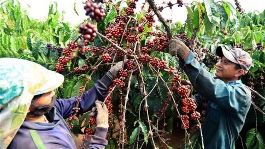 South Africa remains Vietnam’s biggest trade partner in Africa