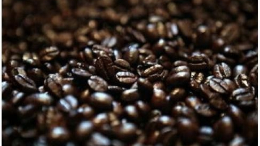 
        Coffee exports to Algeria rise high
                              